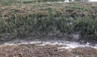 厦门沙溪水库 厦门沙溪水库